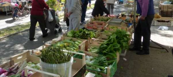 foto mercato