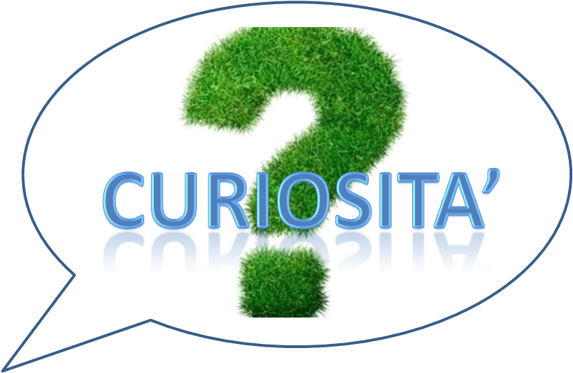 curiosità 2